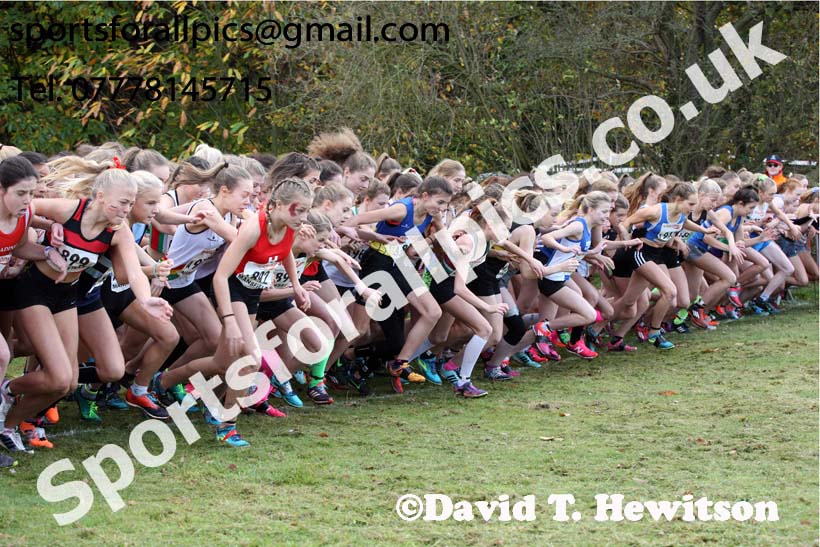 Girls under-15s National Cross Country Relay, Berry Hill Park, Mansfield. Photo:  David T. Hewitson/Sports for All Pics